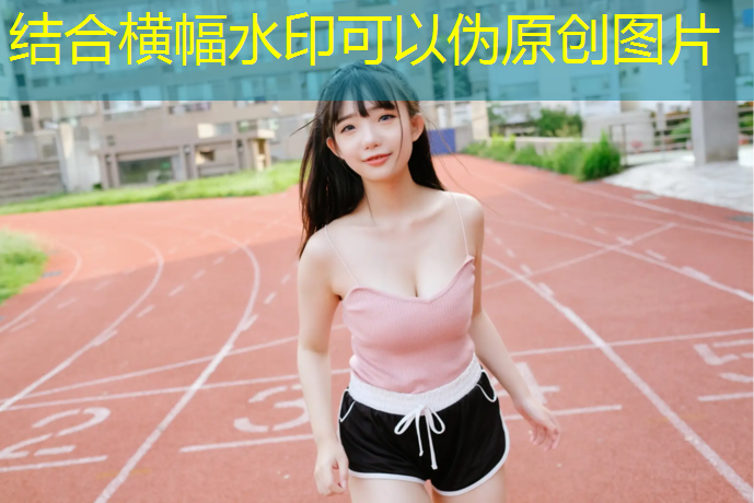 小学生踢足球需要哪些器材