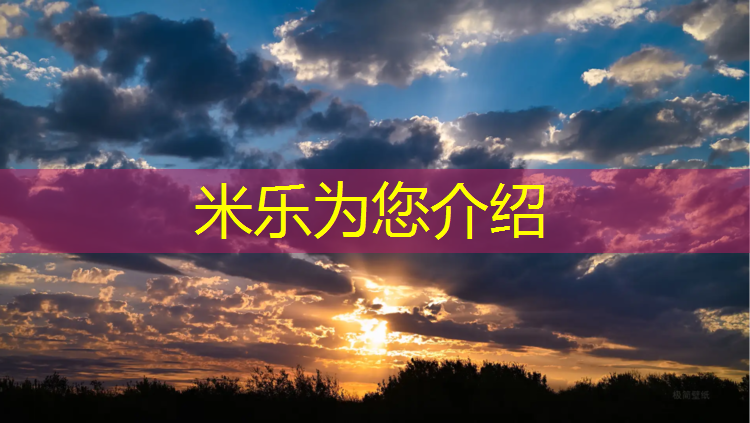 <strong>米乐m6官网登录入口为您介绍：东海预制型塑胶跑道价格</strong>